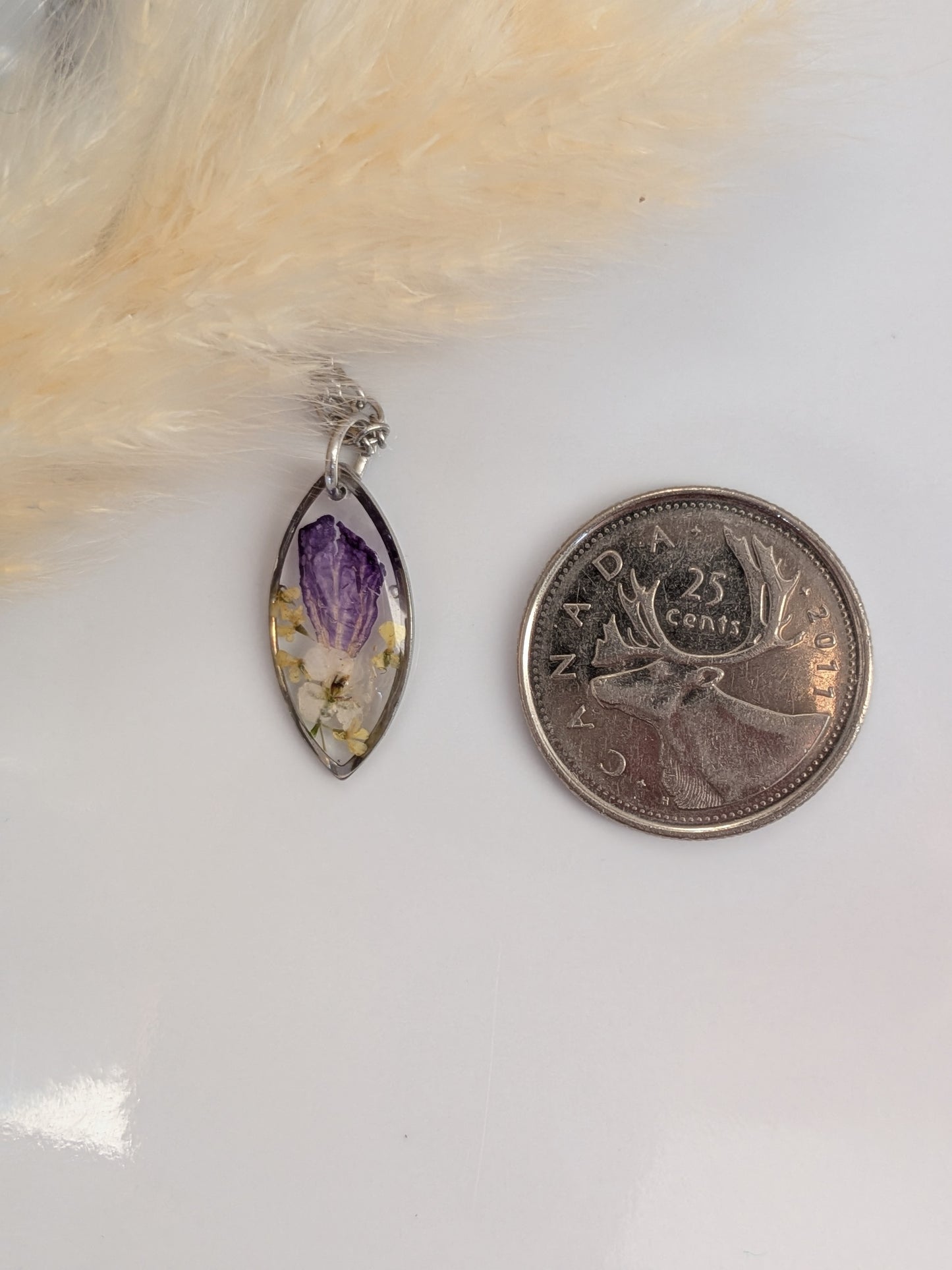 Purple, yellow, white floral