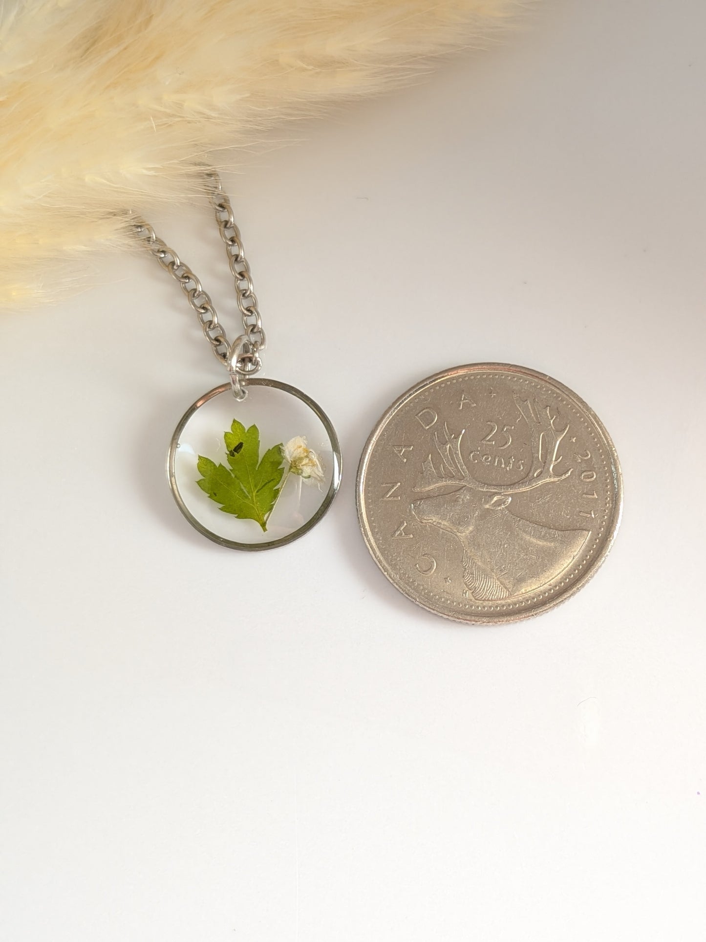White flower with greenery