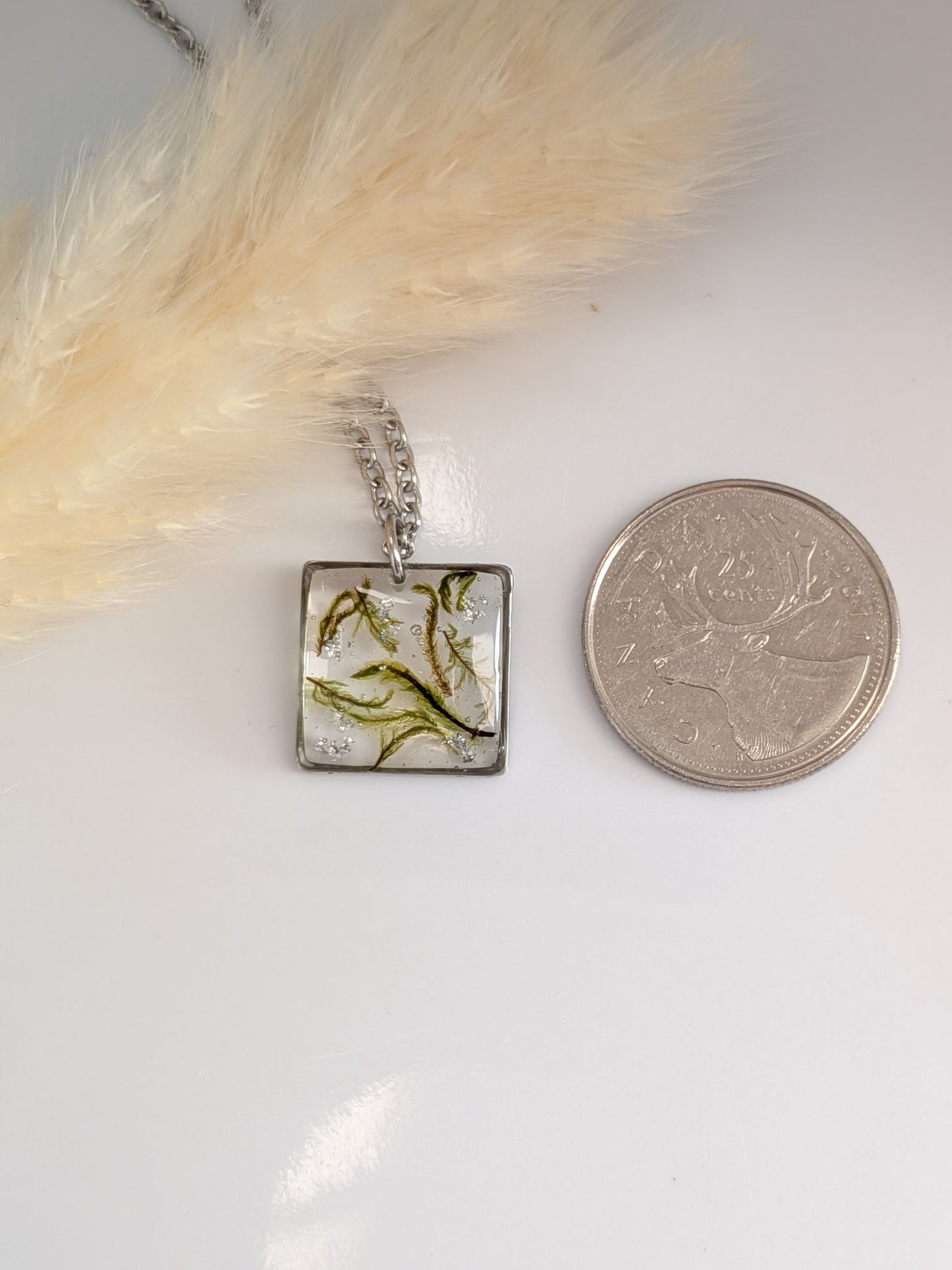 Square moss pendant