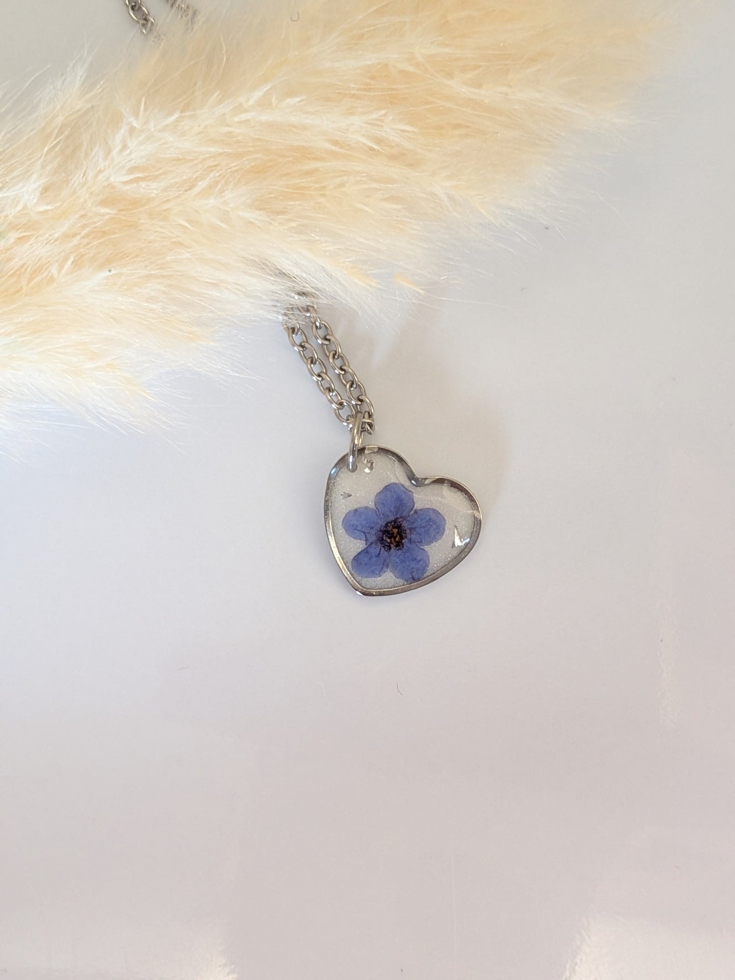 Blue forget me not with white background