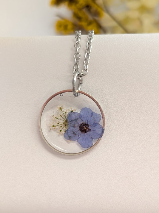 Forget me not. Queen Ann lace