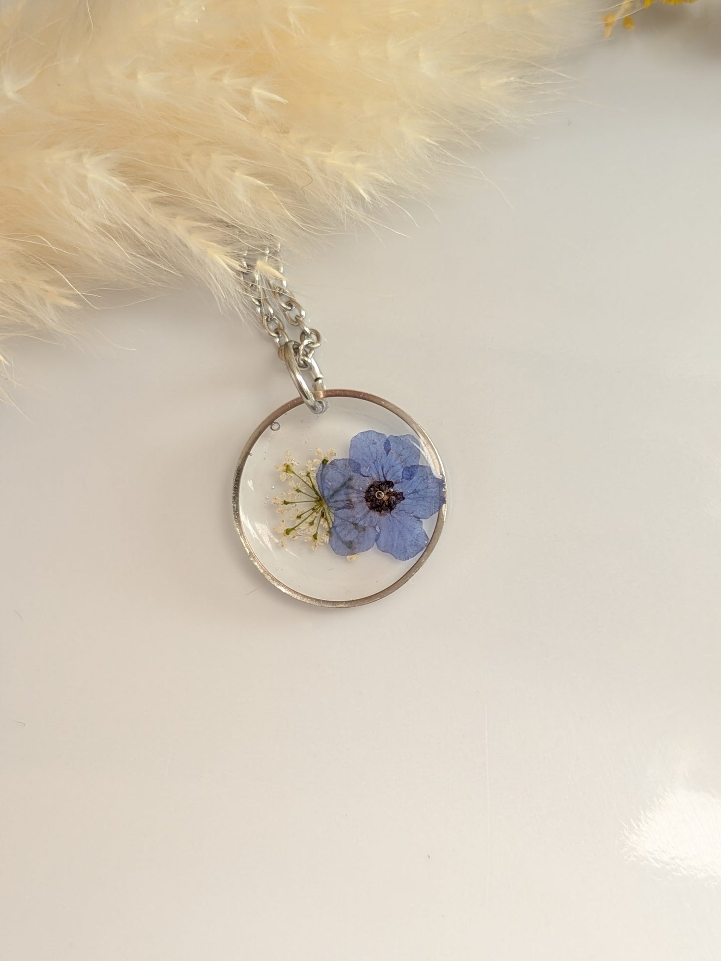 Forget me not. Queen Ann lace