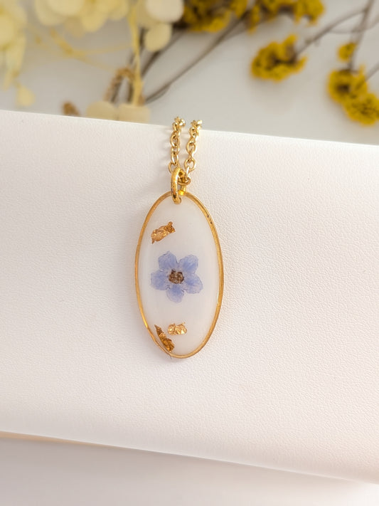 Forget me not with white background